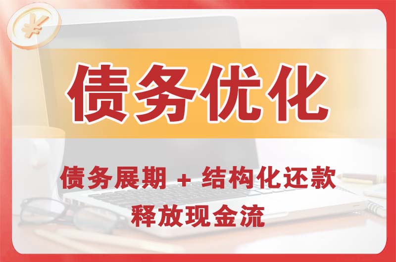 长寿债务优化
